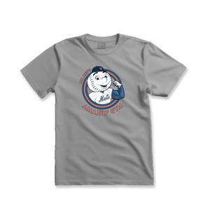 Mr. Met's Amazin Gym
